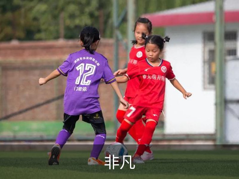 非凡介绍